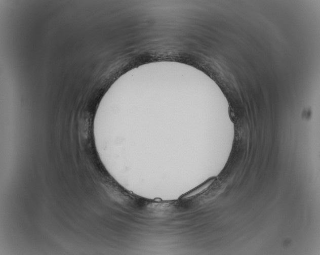 X0000096640133200803041135