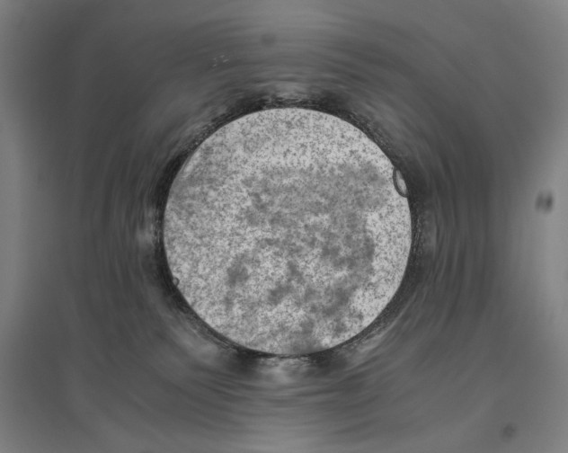 X0000096640135200803041135