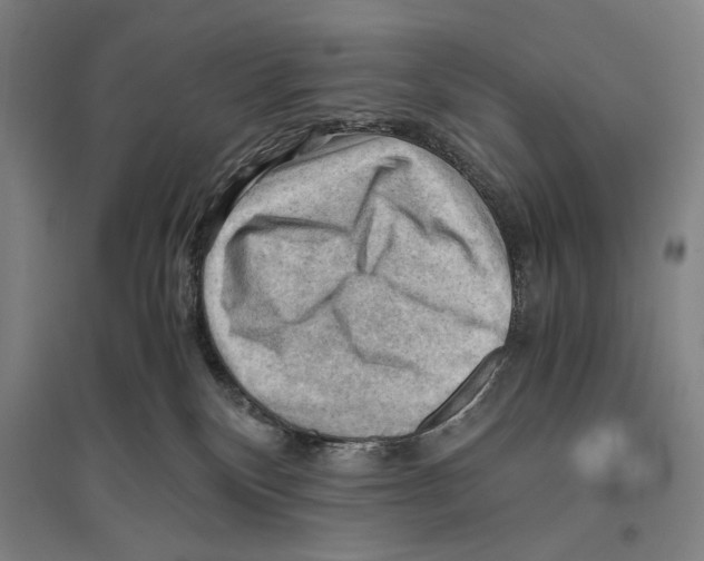 X0000096640136200803041135