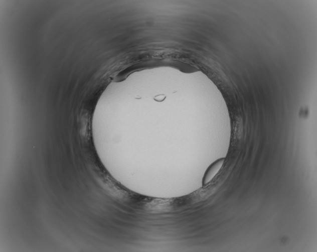 X0000096640138200803041135