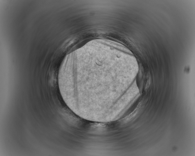 X0000096640140200803041135