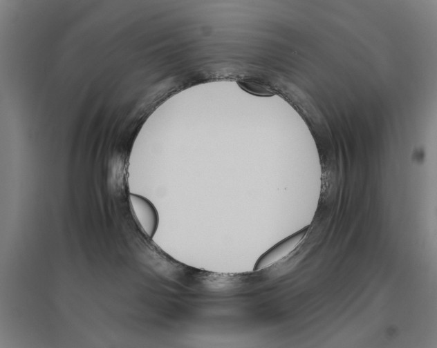 X0000096640142200803041135