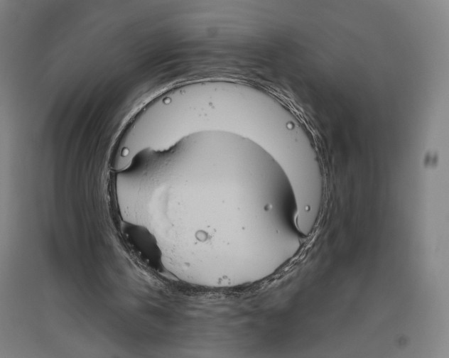 X0000096640146200803041134