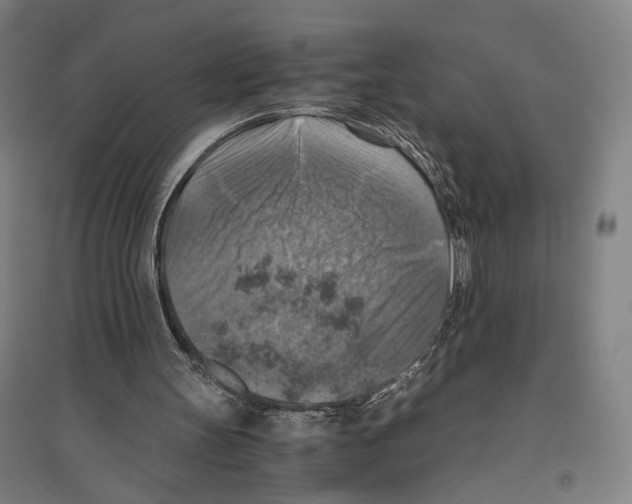 X0000096640147200803041134