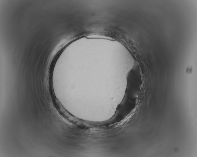 X0000096640150200803041134