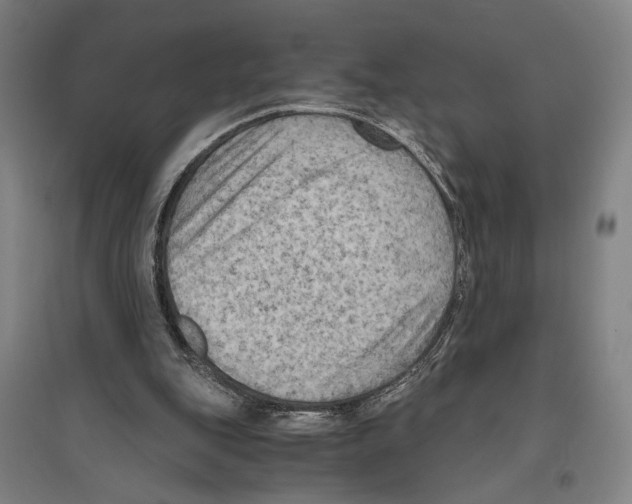 X0000096640151200803041134