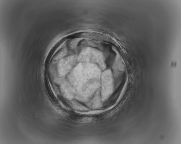 X0000096640152200803041134