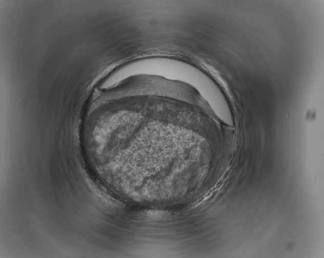 X0000096640154200803041134