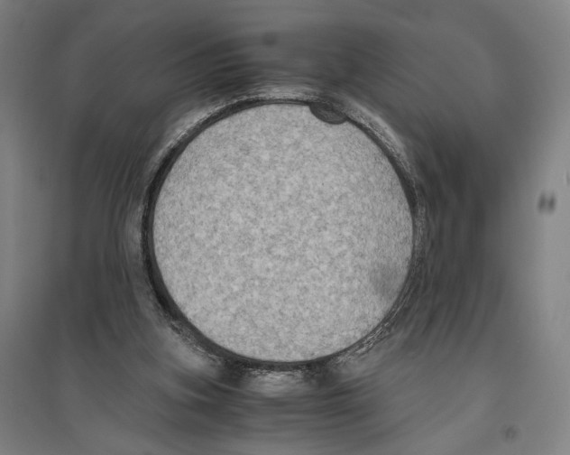 X0000096640155200803041134