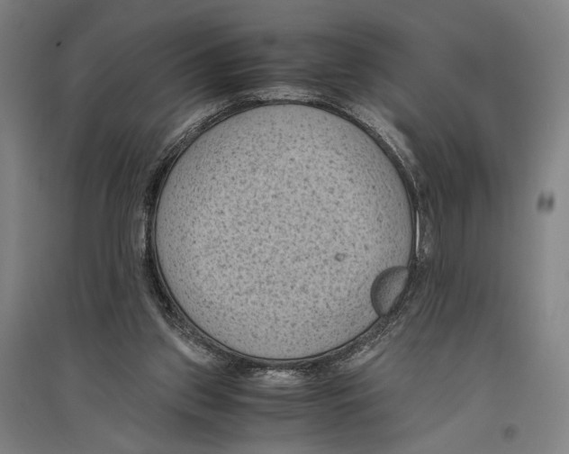 X0000096640157200803041134