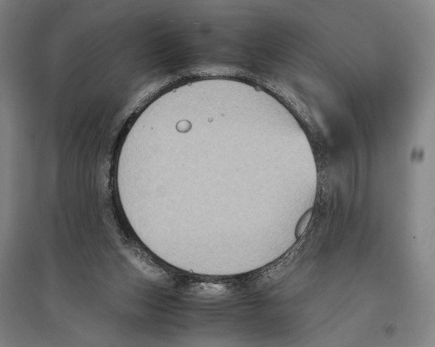 X0000096640159200803041134