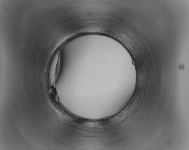 X0000096640160200803041134