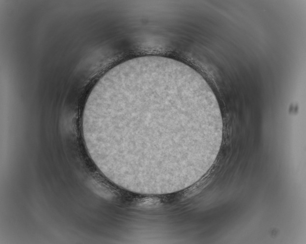 X0000096640162200803041134