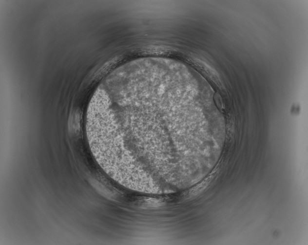 X0000096640166200803041134