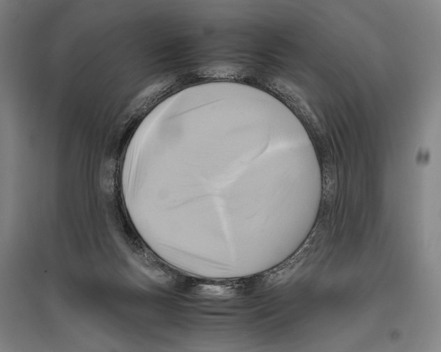 X0000096640167200803041134