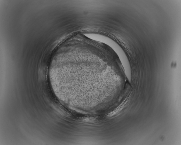 X0000096640168200803041134