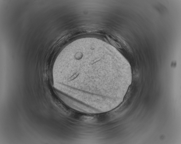 X0000096640170200803041135