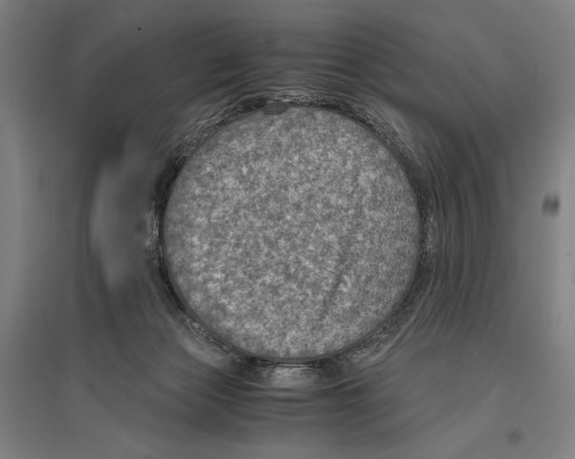 X0000096640173200803041135