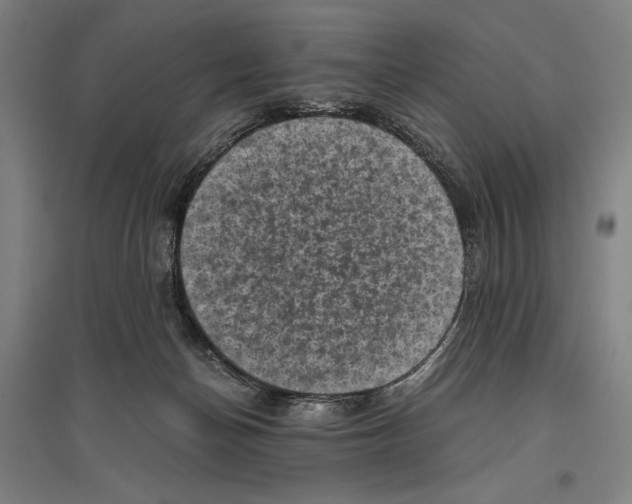 X0000096640174200803041135