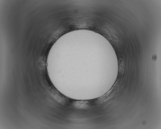 X0000096640179200803041135