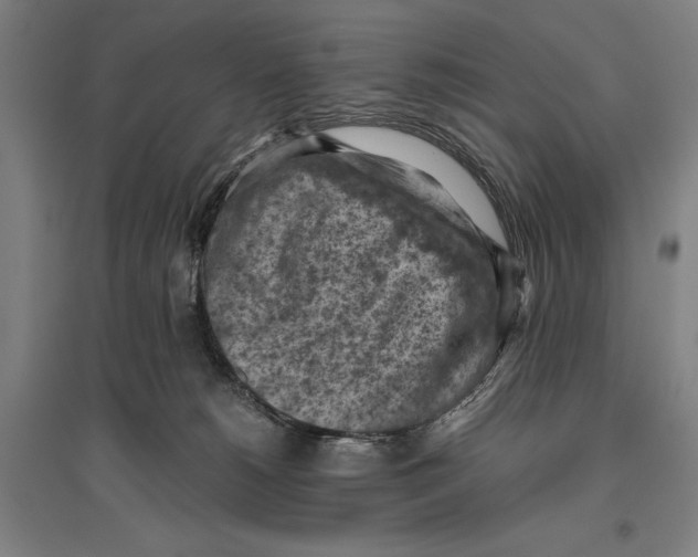 X0000096640180200803041135