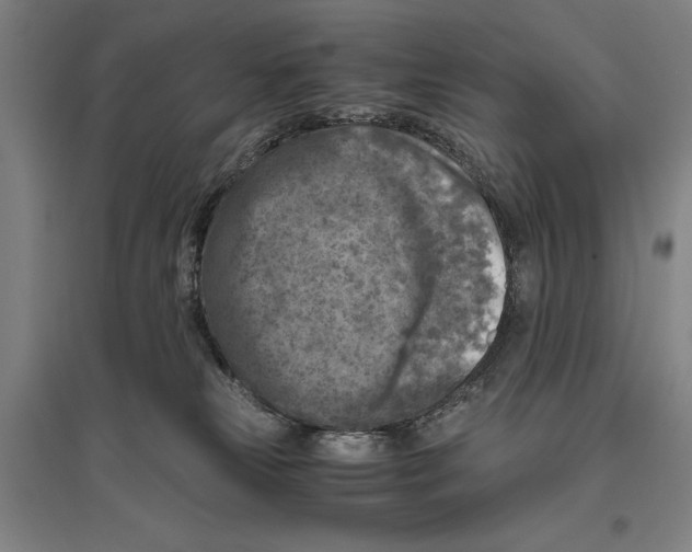 X0000096640181200803041135