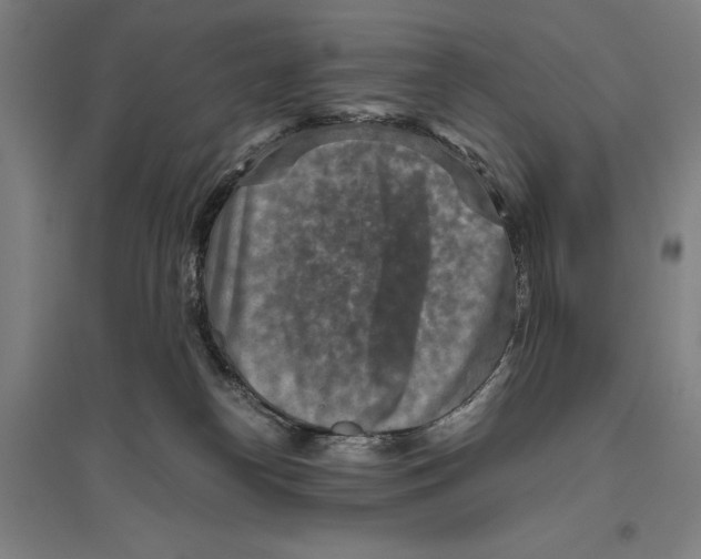 X0000096640182200803041135