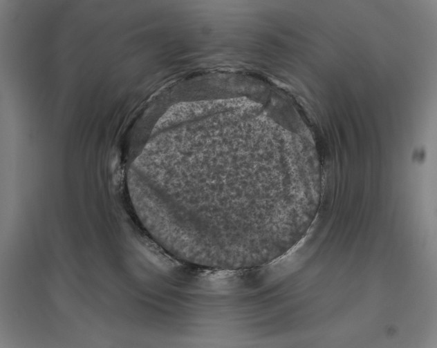 X0000096640186200803041135