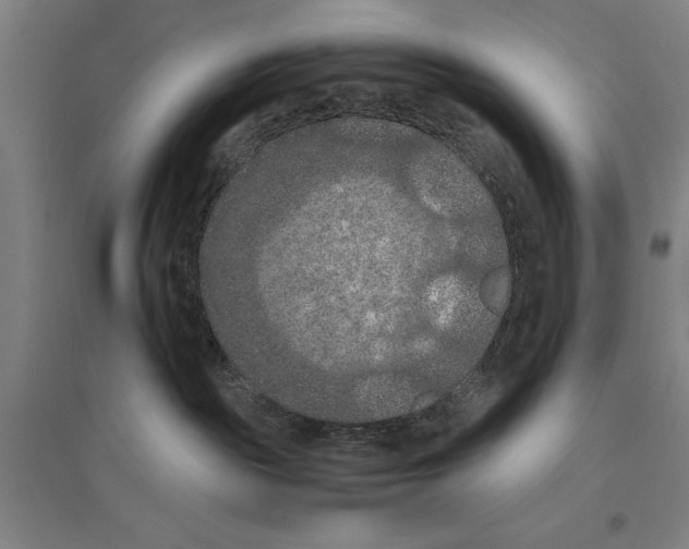 X0000096640189200803041135