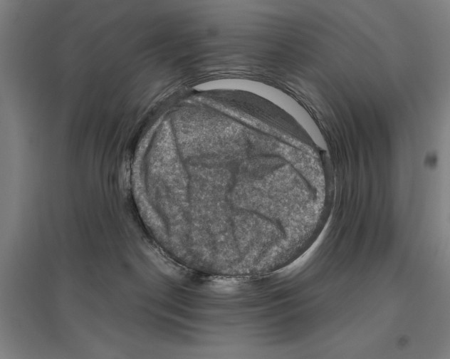 X0000096640190200803041135