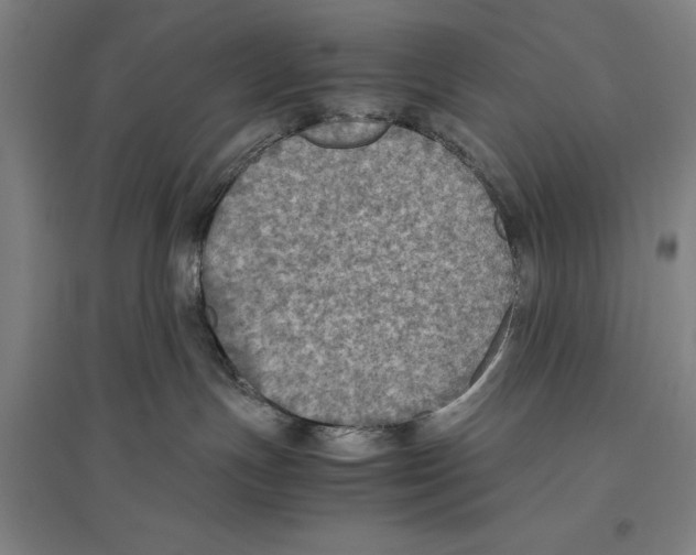 X0000096640191200803041135