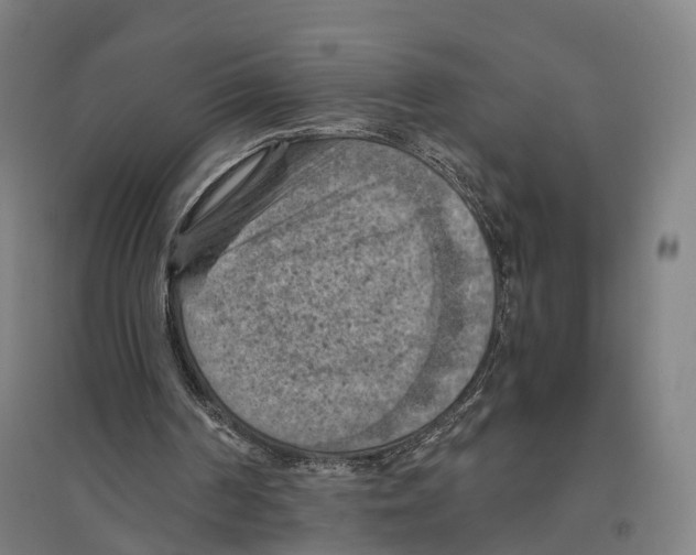 X0000096640194200803041134