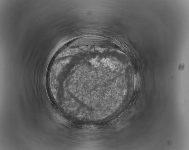 X0000096640195200803041134