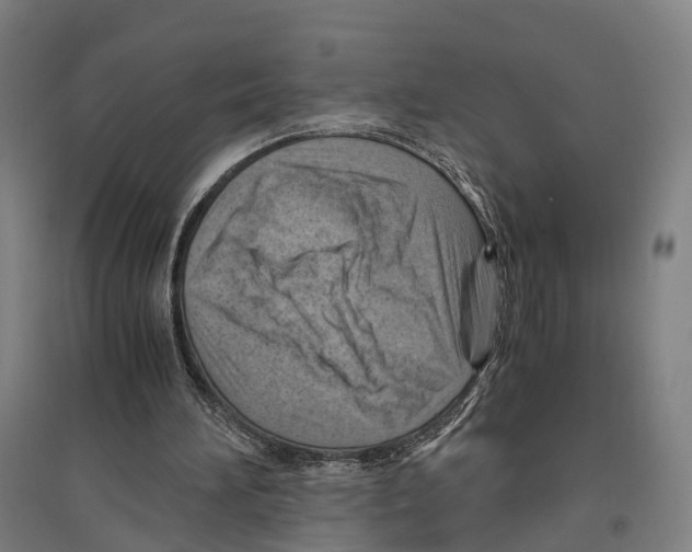 X0000096640196200803041134