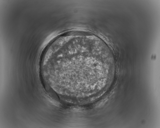 X0000096640199200803041134