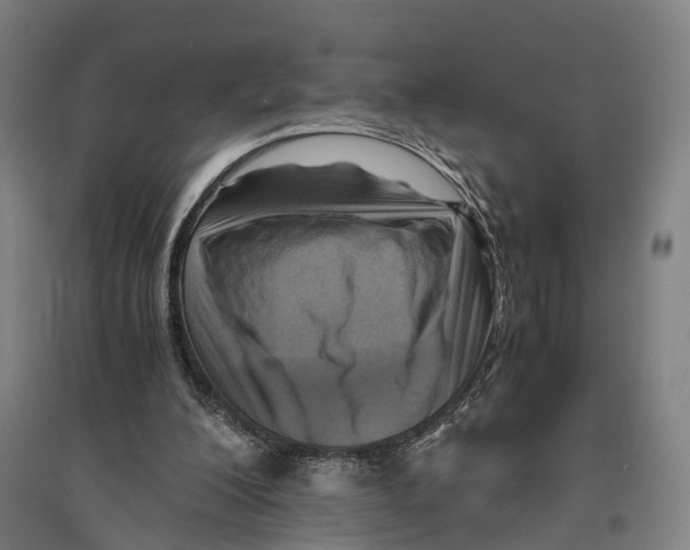 X0000096640200200803041134