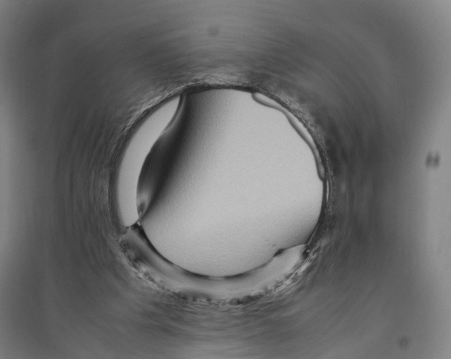 X0000096640201200803041134