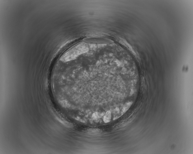 X0000096640203200803041134