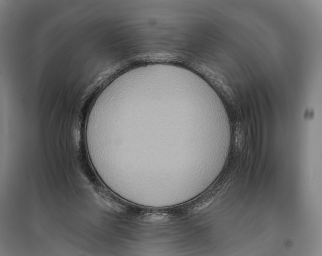 X0000096640206200803041134