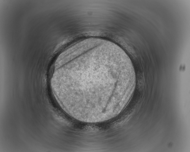 X0000096640207200803041134