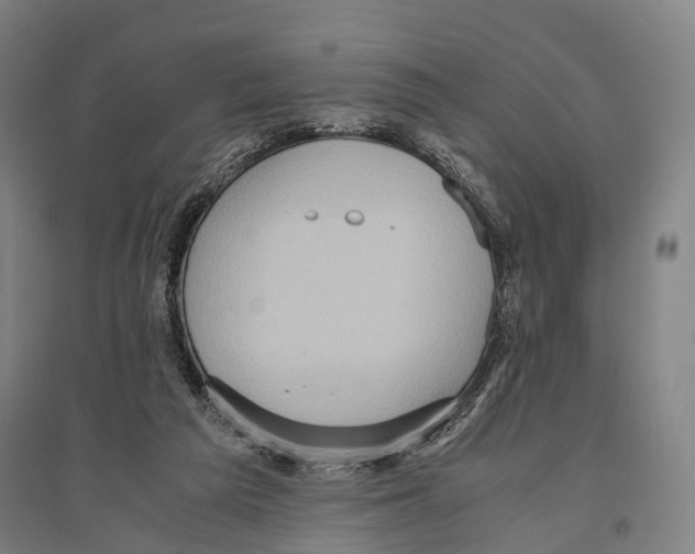 X0000096640209200803041134