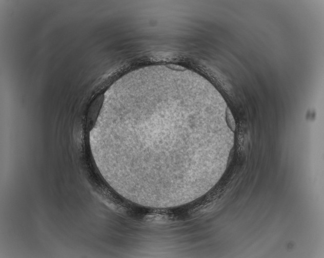 X0000096640211200803041134