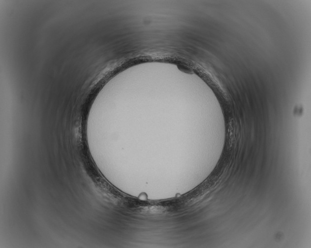 X0000096640212200803041134