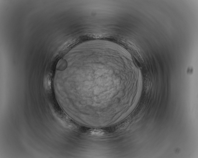 X0000096640214200803041134