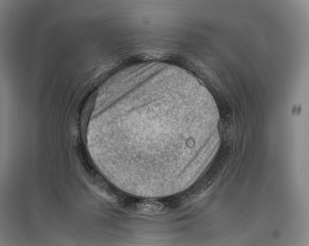 X0000096640215200803041134