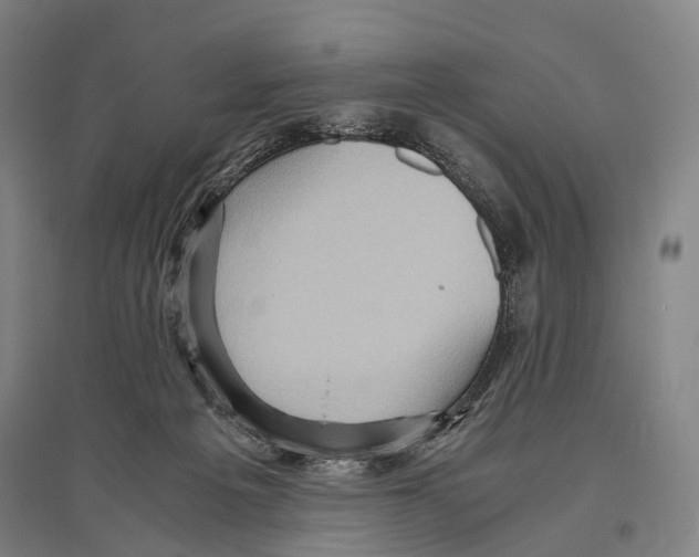 X0000096640217200803041134