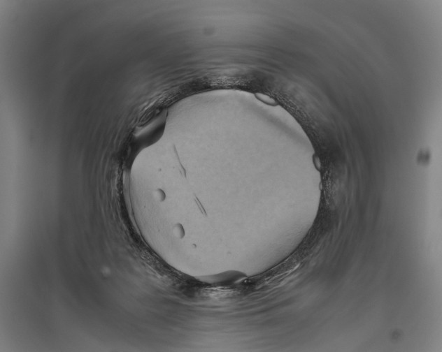 X0000096640219200803041134