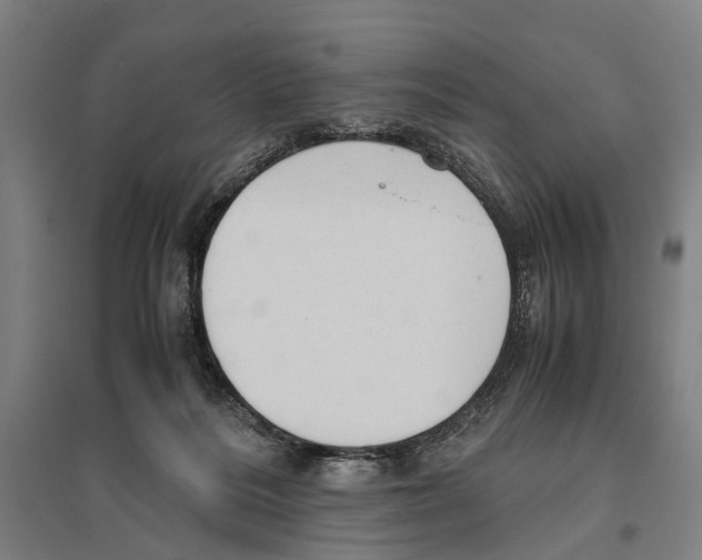 X0000096640220200803041134