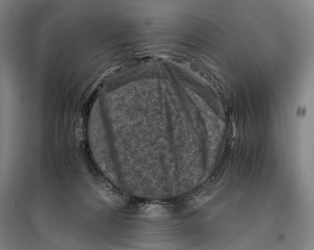 X0000096640224200803041134