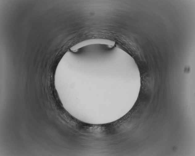 X0000096640225200803041134